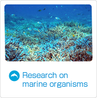 Research on marine organisms