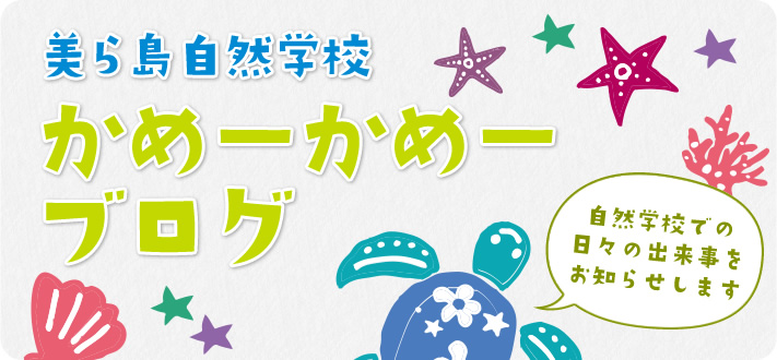美ら島自然学校かめーかめーブログ