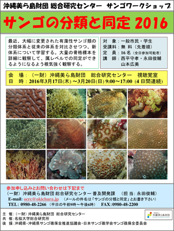 サンゴワークショップ サンゴの分類と同定2016