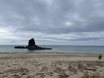 今日の嘉陽海岸