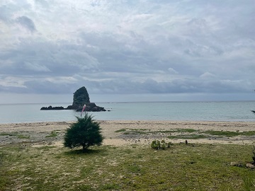 今日の嘉陽海岸