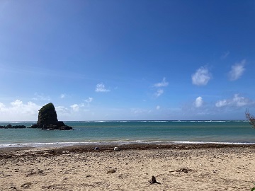 今日の嘉陽海岸