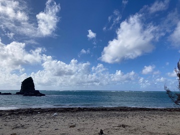 今日の嘉陽海岸