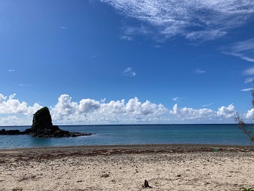 今日の嘉陽海岸