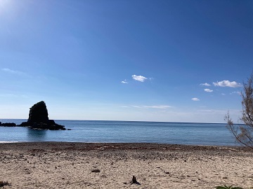 今日の嘉陽海岸