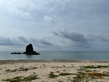 今日の嘉陽海岸