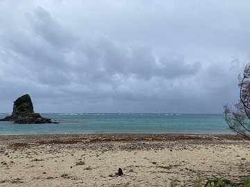 今日の嘉陽海岸