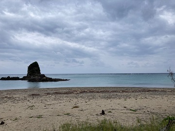 今日の嘉陽海岸