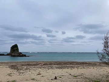 今日の嘉陽海岸