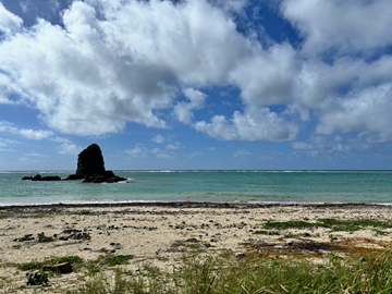 今日の嘉陽海岸