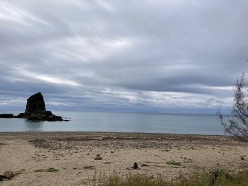 今日の嘉陽海岸