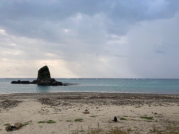 今日の嘉陽海岸