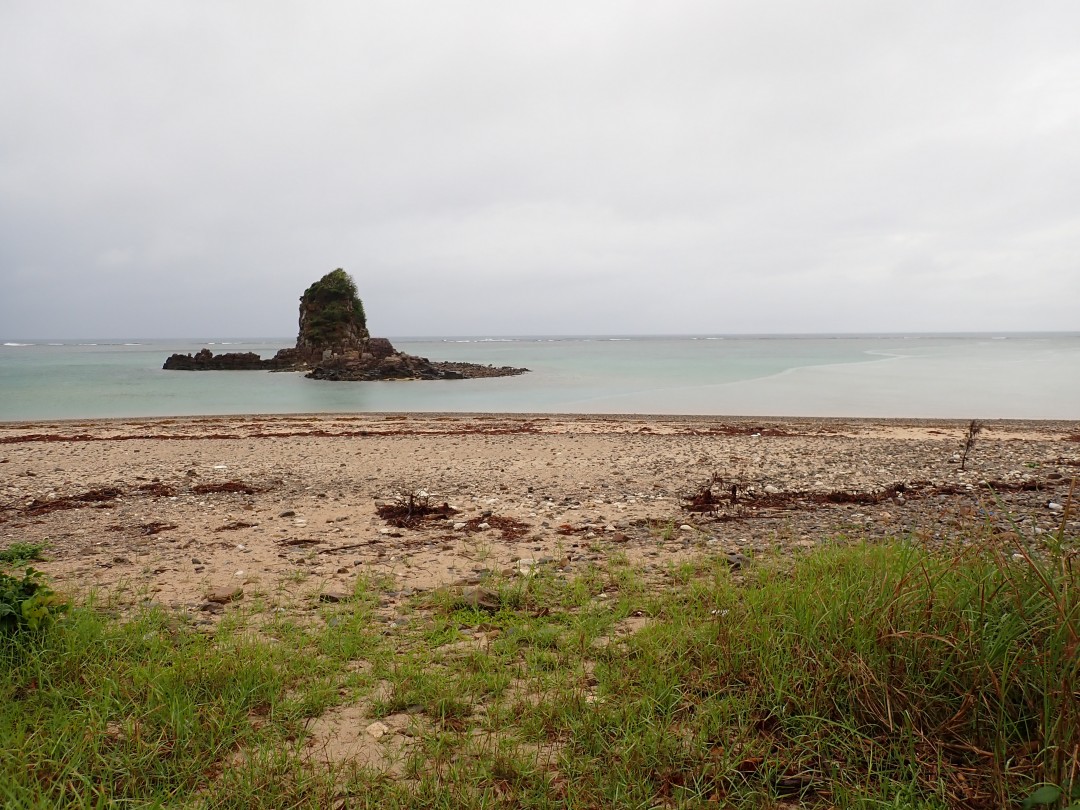今日の嘉陽海岸