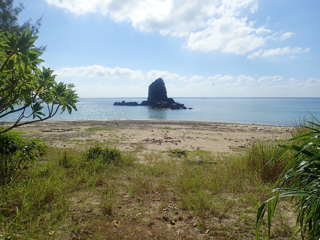 今日の嘉陽海岸