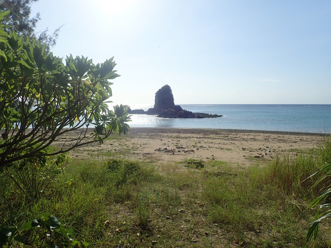 今日の嘉陽海岸