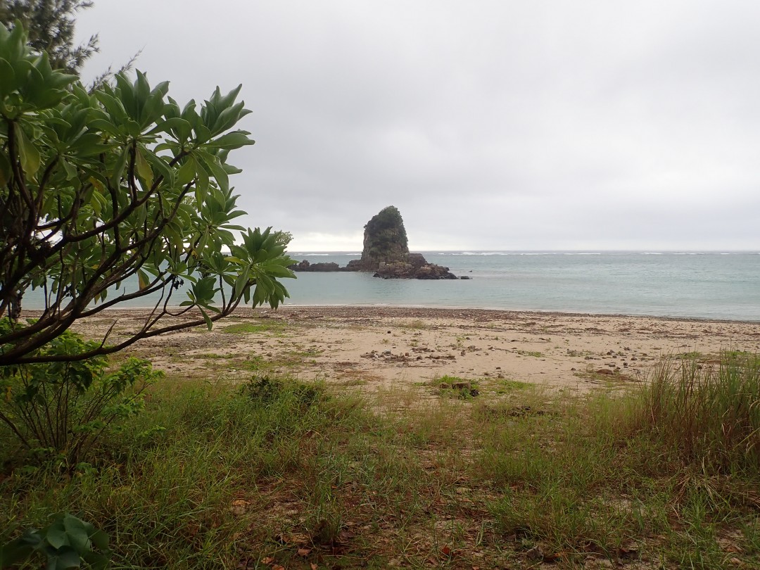 今日の嘉陽海岸