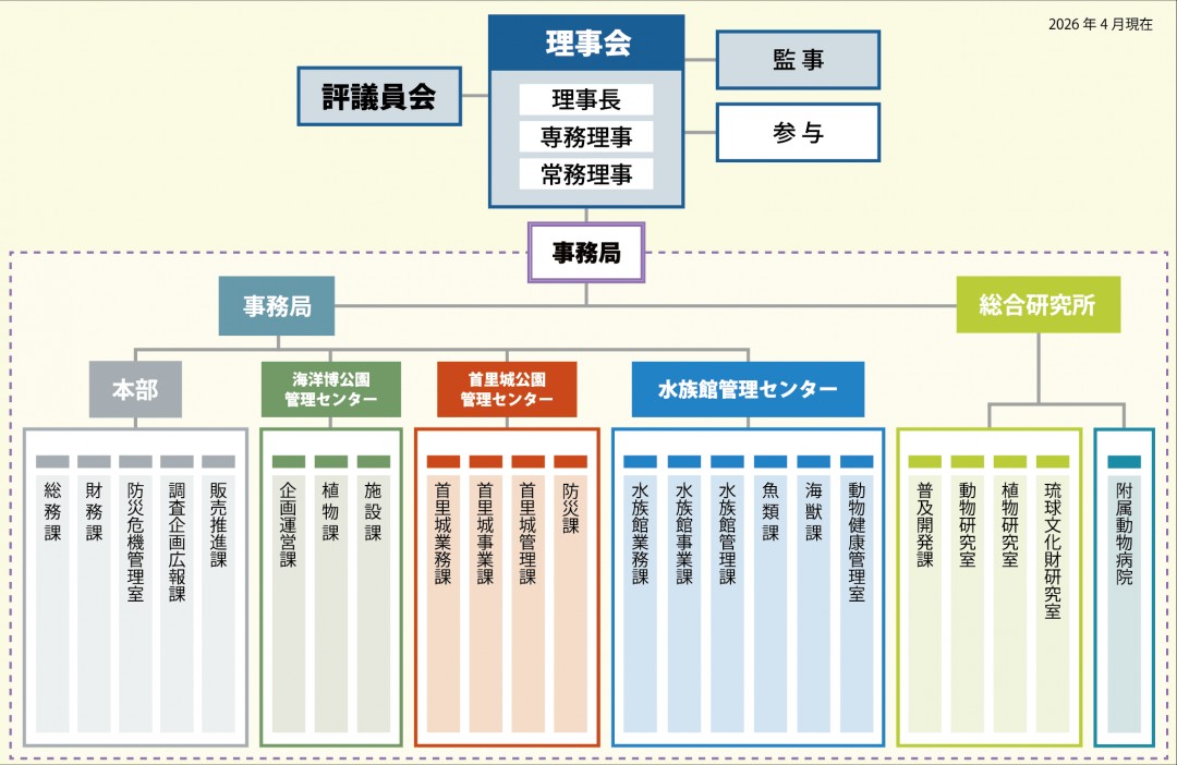 一般財団法人沖縄美ら島財団組織図