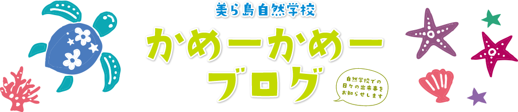 かめーかめーブログ