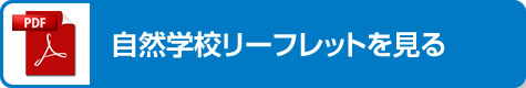 自然学校リーフレットのダウンロードボタン