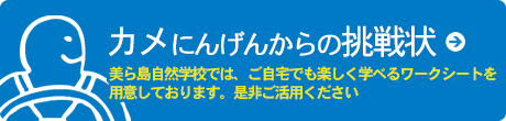 カメにんげんからの挑戦状