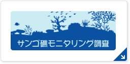 サンゴ礁モニタリング調査