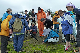 自然史講座・専門家講習会・研究会