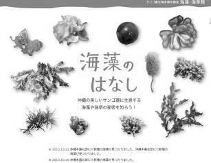 写真-3 海藻調査Webページトップ