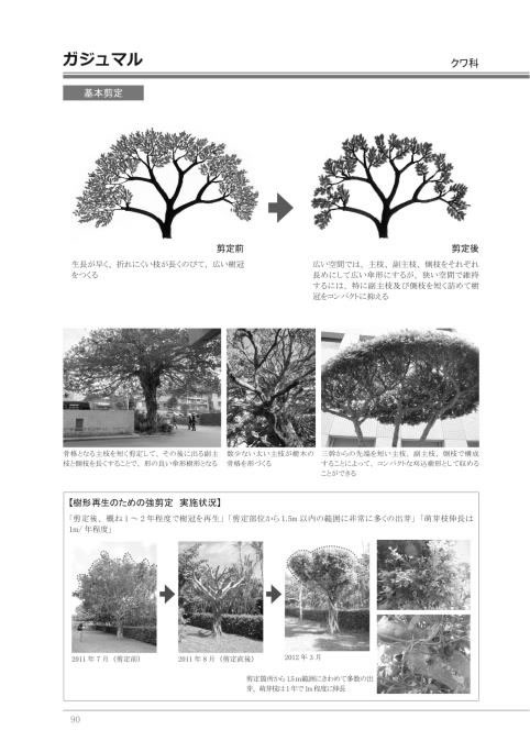 図-5 剪定マニュアル（技術編）