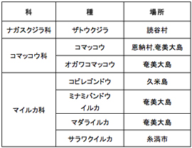 表-1　ストランディングが確認された鯨類