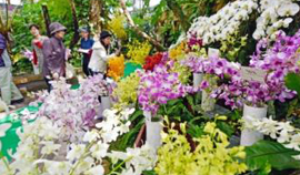沖縄国際洋蘭博覧会の様子