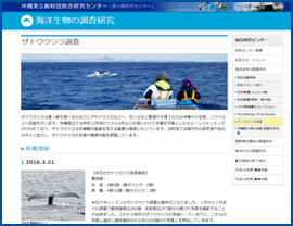 図-5　財団ホームページ上のザトウクジラ調査報告ページ