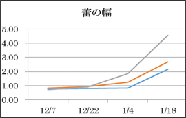 花芽の幅