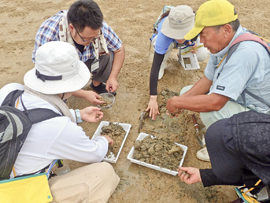 図-2 「干潟の環境と生物観察」実施の様子