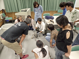 図-3「ヤシガニ学習会」実施の様子