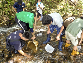 図-2　白瀬川での固有種探し