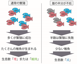 図-6　不妊雄による生息数現象の概念図