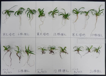 図-2 順化技術の構築に向けた試験の様子