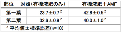 表-3　有機液肥と菌根菌がエンサイの葉色（SPAD）に及ぼす影響