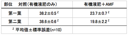 表-4　有機液肥と菌根菌が黒トウモロコシの葉色（SPAD）に及ぼす影響