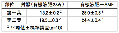 表-6　有機液肥と菌根菌がメーオーバの葉色(SPAD)に及ぼす影響