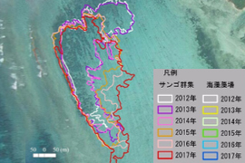 ３）礁池調査