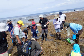 ４）美ら島自然学校における学習会（15事業）