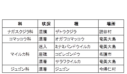 表−１　ストランディングが確認された鯨類