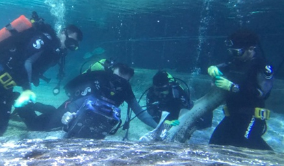 写真-4 トラフザメの水中エコーの様子