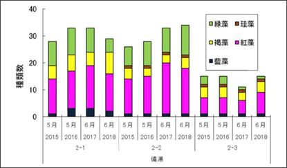 図-2　備瀬地区における海藻類の方形枠別の確認種数