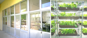 写真−1　空き教室に設置した植物工場