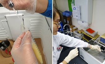 写真-3  精液保存作業の様子（左）解凍検査の様子（右）