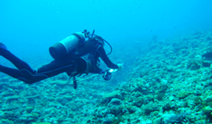 写真-3　魚類調査状況