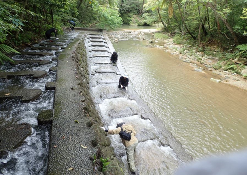 つまりの原因となる流木や土砂を取り除きました