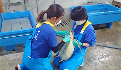 治療の様子